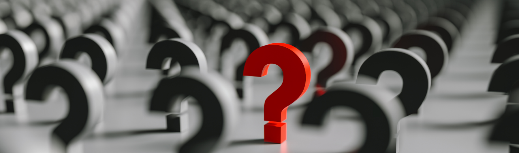 What do reputation management companies do?